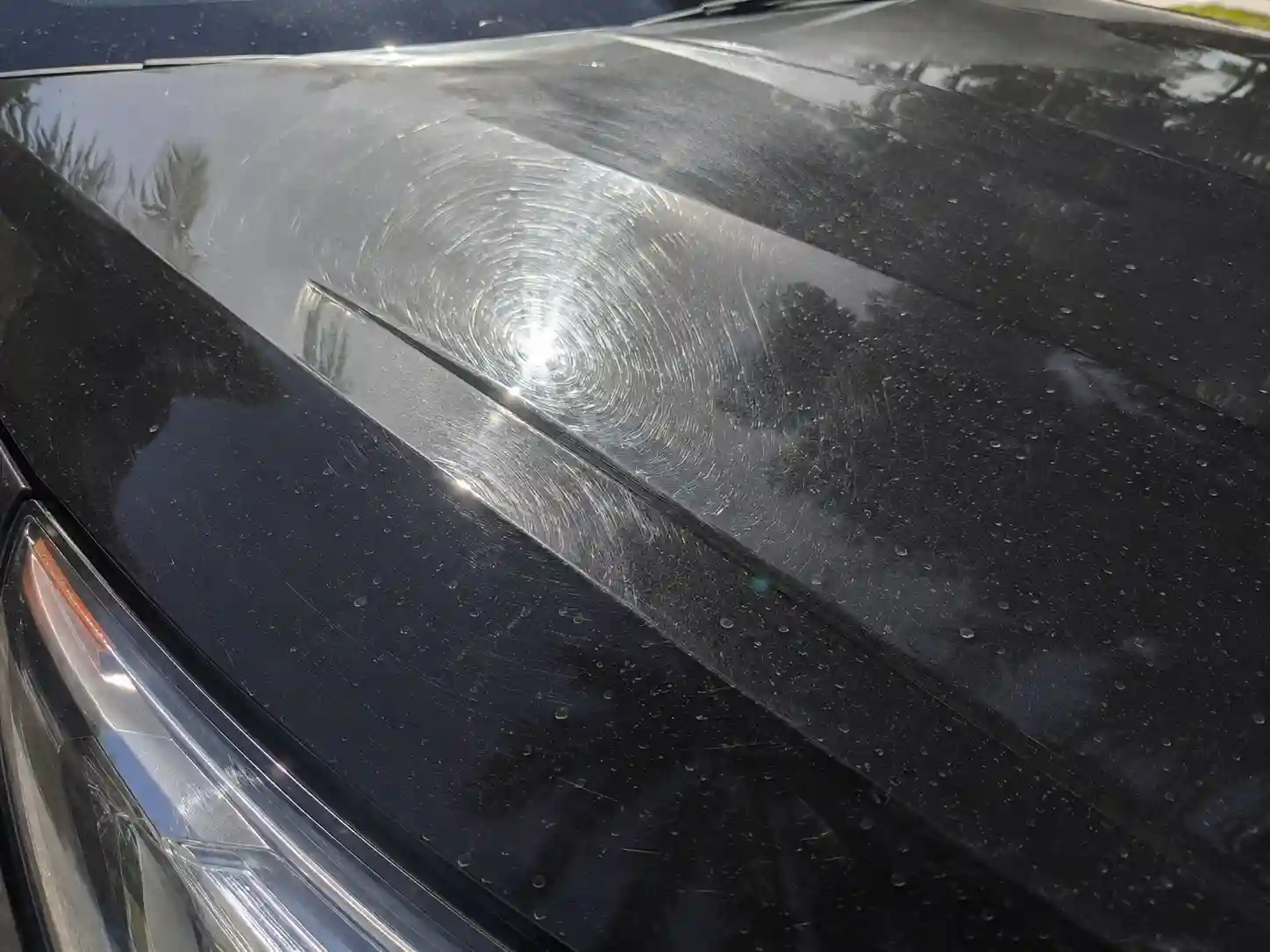 Light Scratches and Scuffs